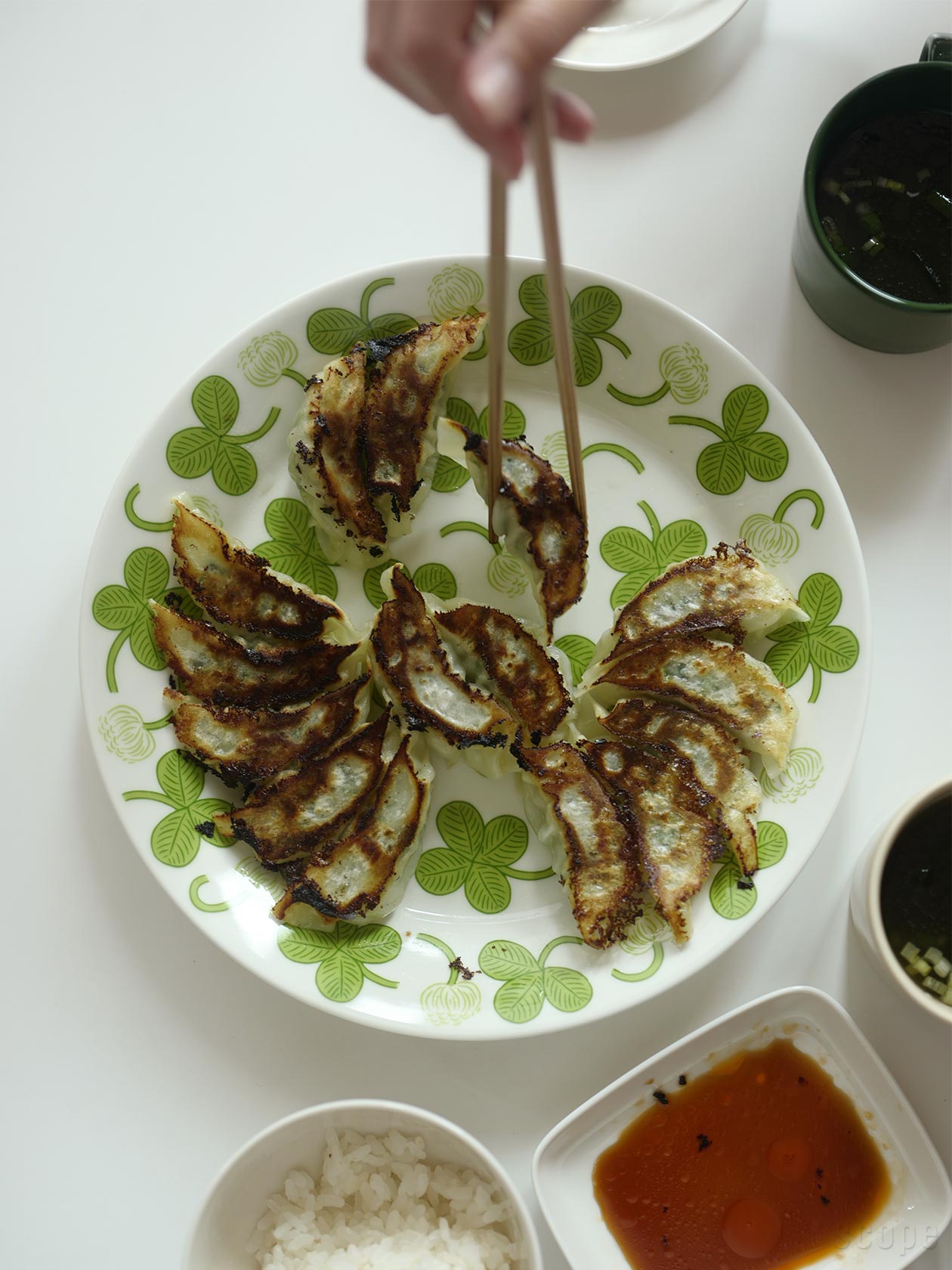 Apilaプレート26cmの餃子を食べ進めるとアピラの柄が見えてくるところが可愛らしい