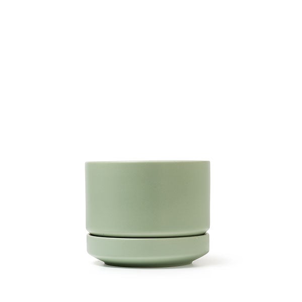 SN プラントポット