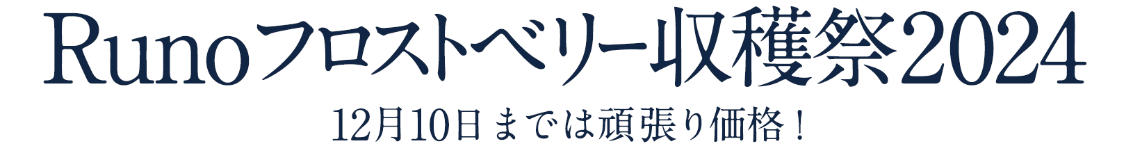 Runoフロストベリー収穫祭2024