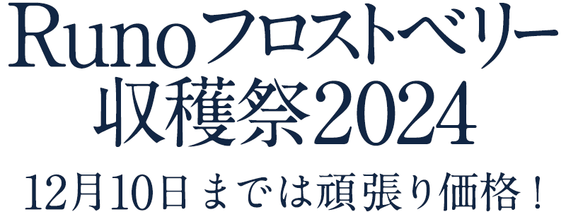 Runoフロストベリー収穫祭2024