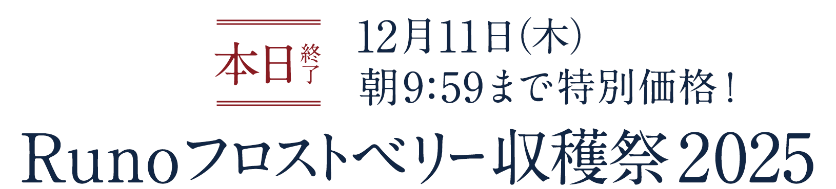 Runoフロストベリー収穫祭2025