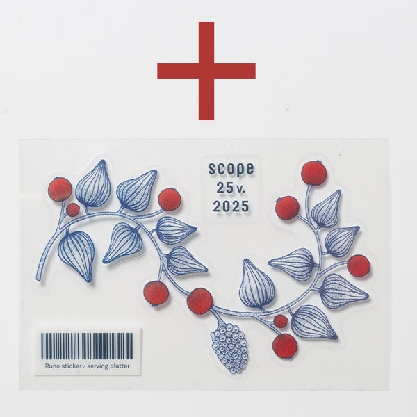 Runo サービングプラター フロストベリー