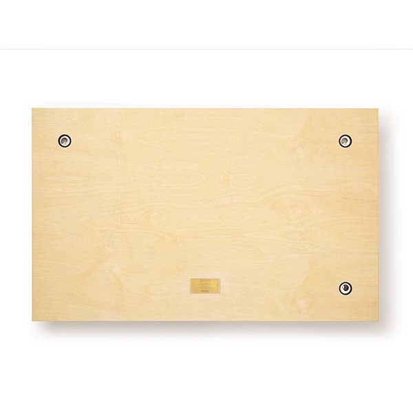 Experimental Wall Relief