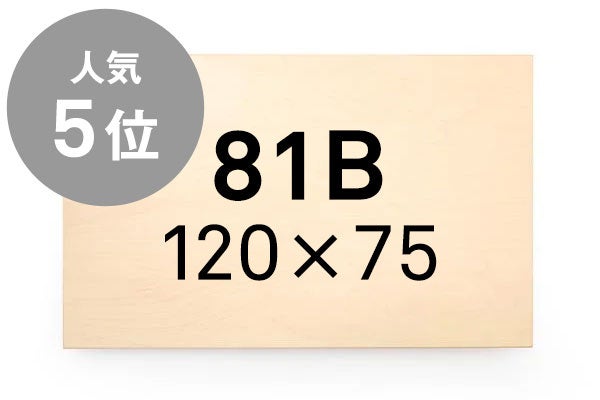 81B 120×75