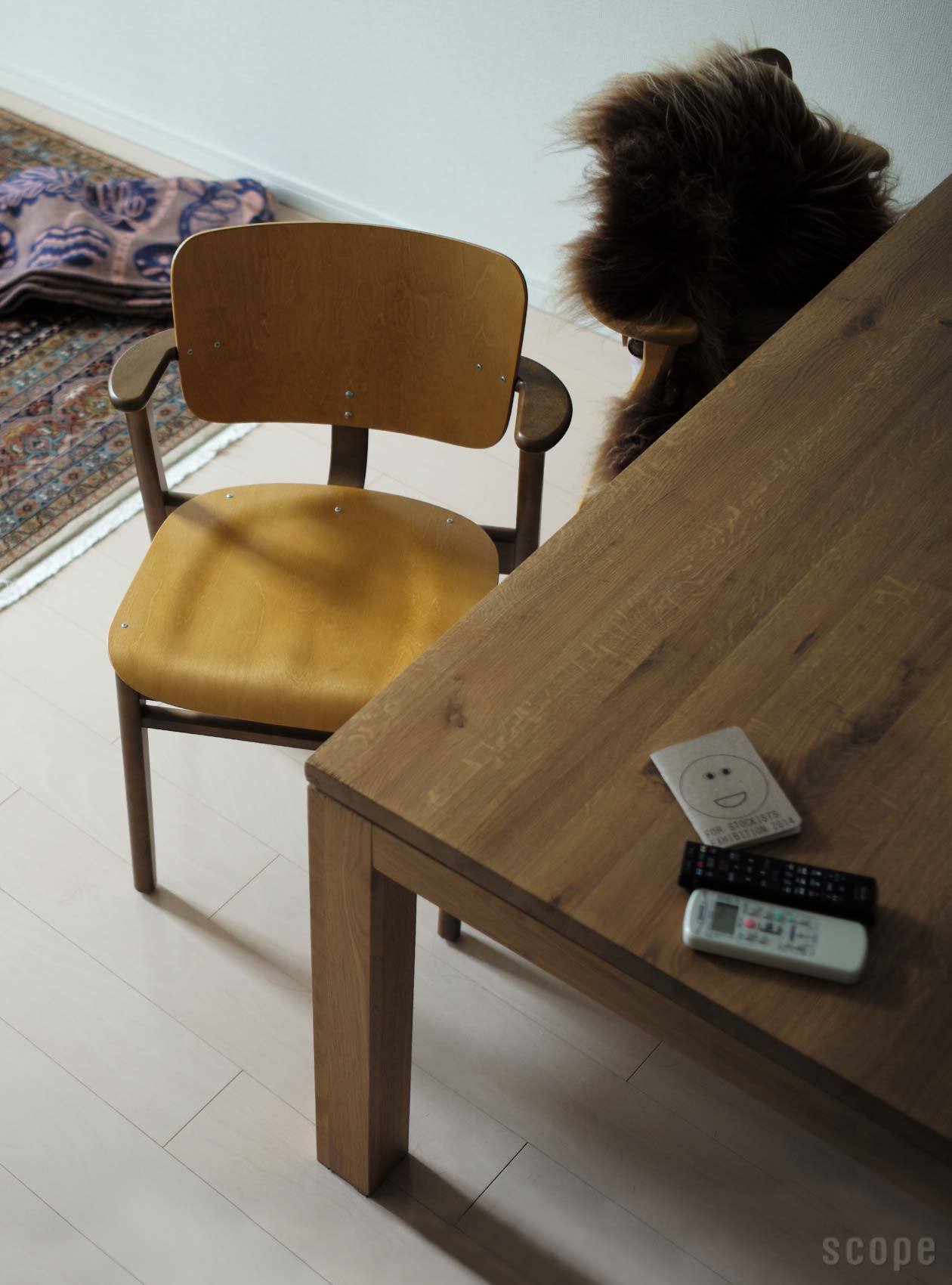 Artek (アルテック)  Domus Chair