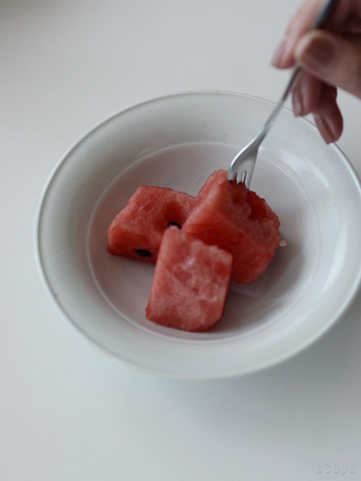 東屋 果物鉢に盛り付けたスイカを食べている様子