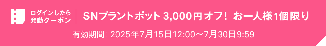 ログインしたら発動クーポン