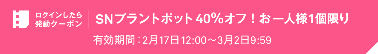 ログインしたら発動クーポン