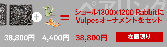 ペアリング