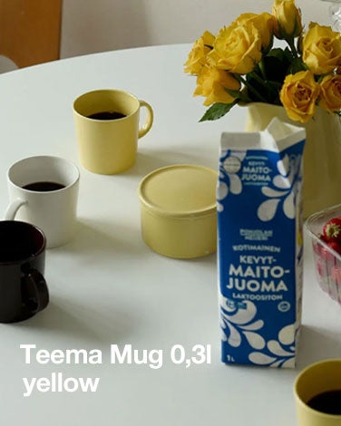 Teema マグ 0.3L