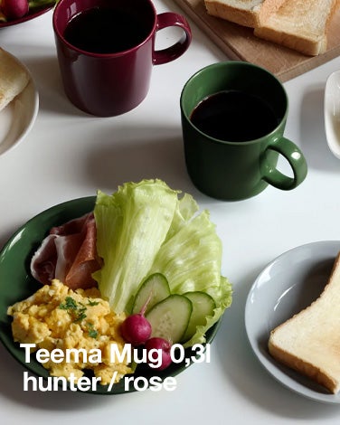 Teema マグ 0.3L