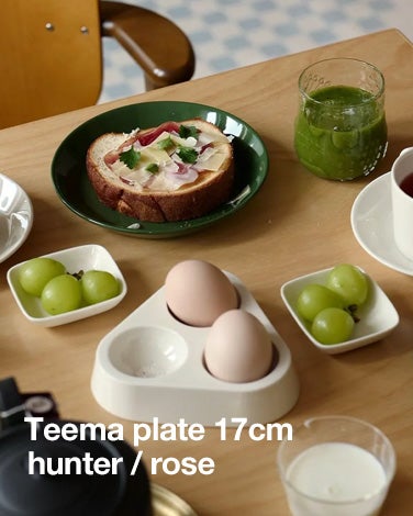 Teema プレート17cm