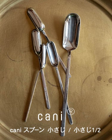 cani スプーン