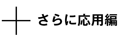 応用編