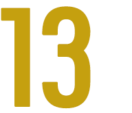 13