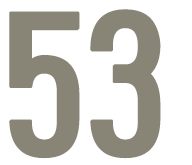 53