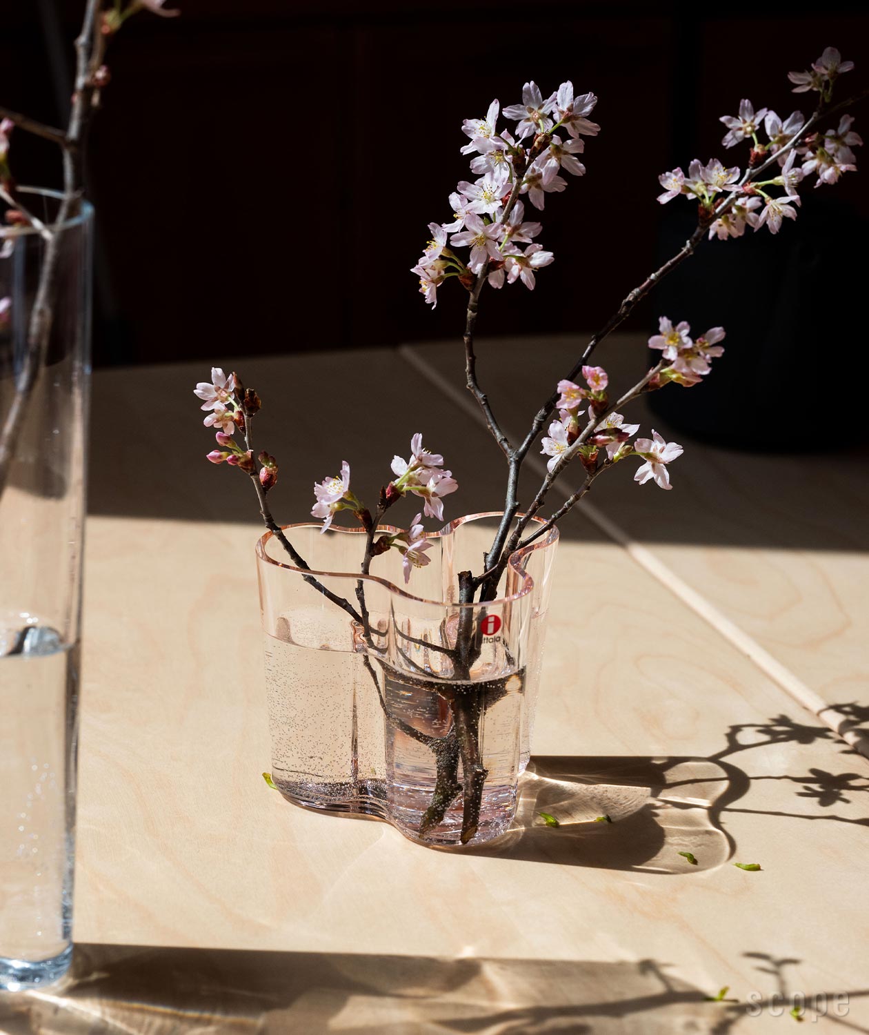 別注商品 aalto vase アアルトベース 95mm サーモンピンク 花瓶