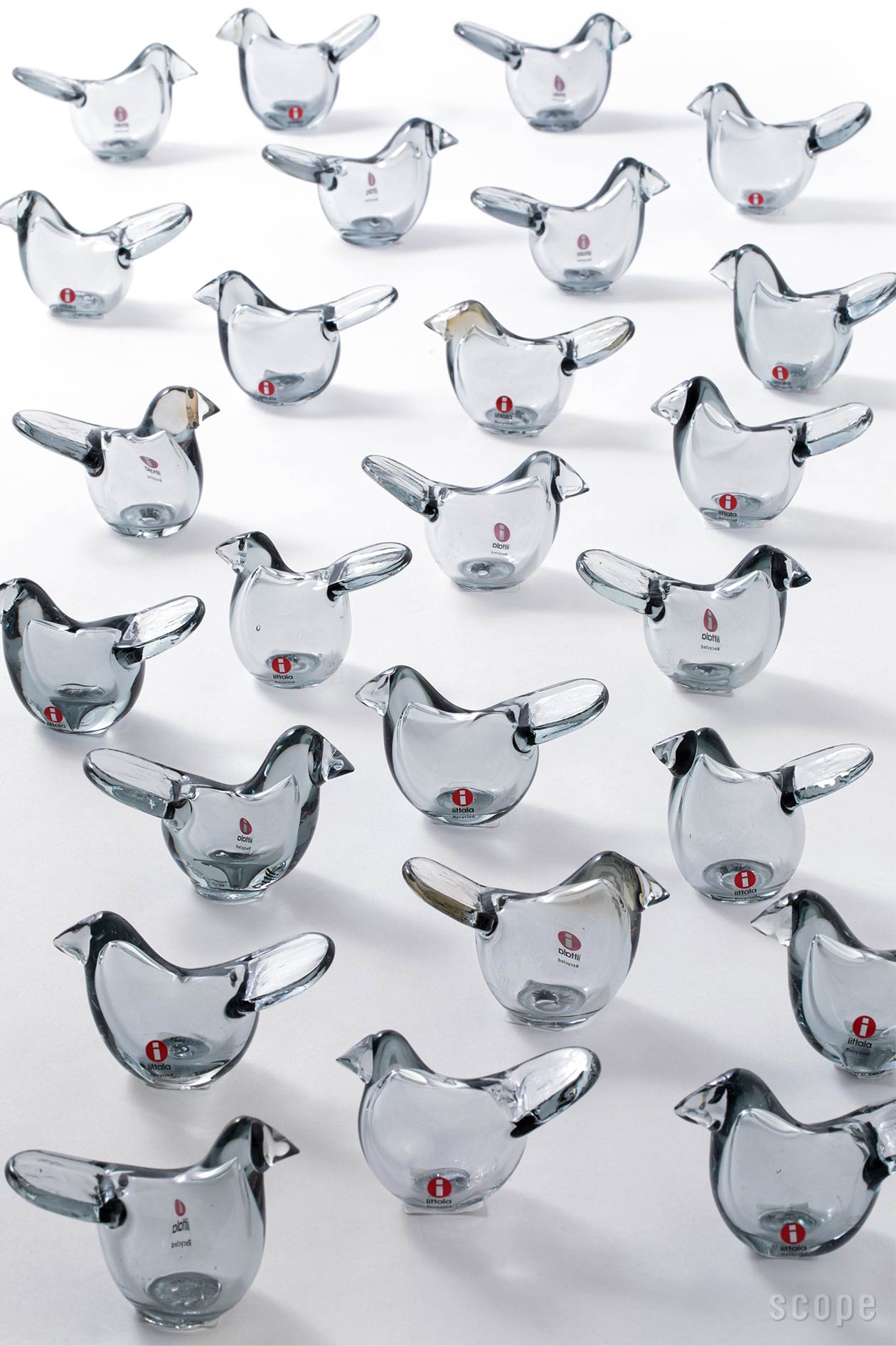 限定SALE新品】 iittala - Birds Sieppo/scope別注バード シエッポ