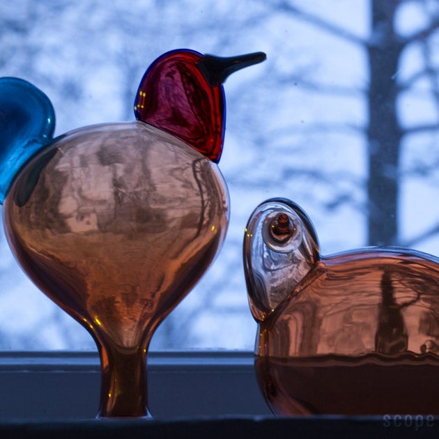 販売終了】iittala | Birds by Toikka Sulo&Sorja