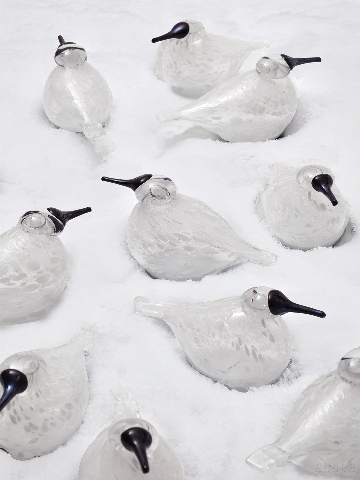 雪の中に置かれたSnow Finchのガラスバード
