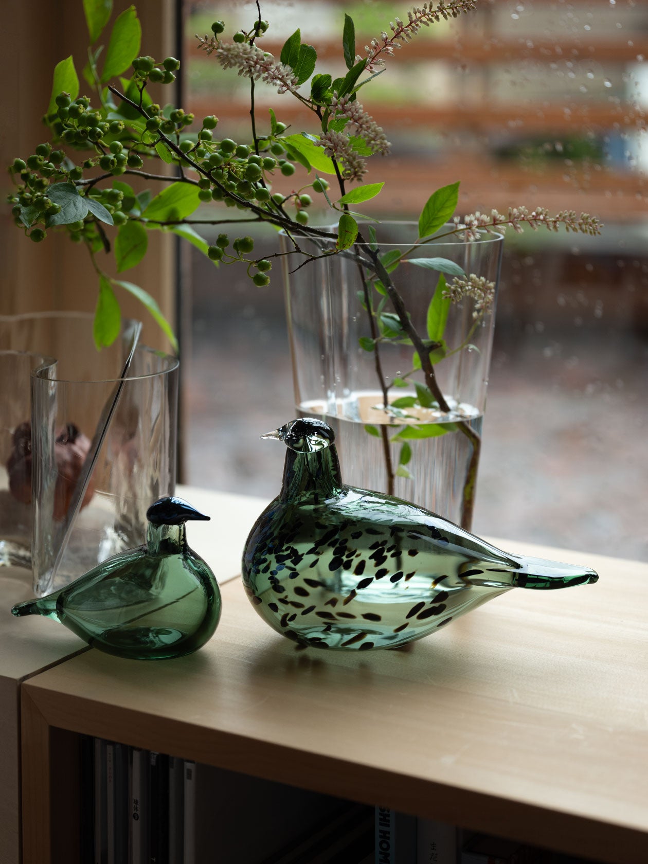 iittala / Reed Warbler パイングリーン