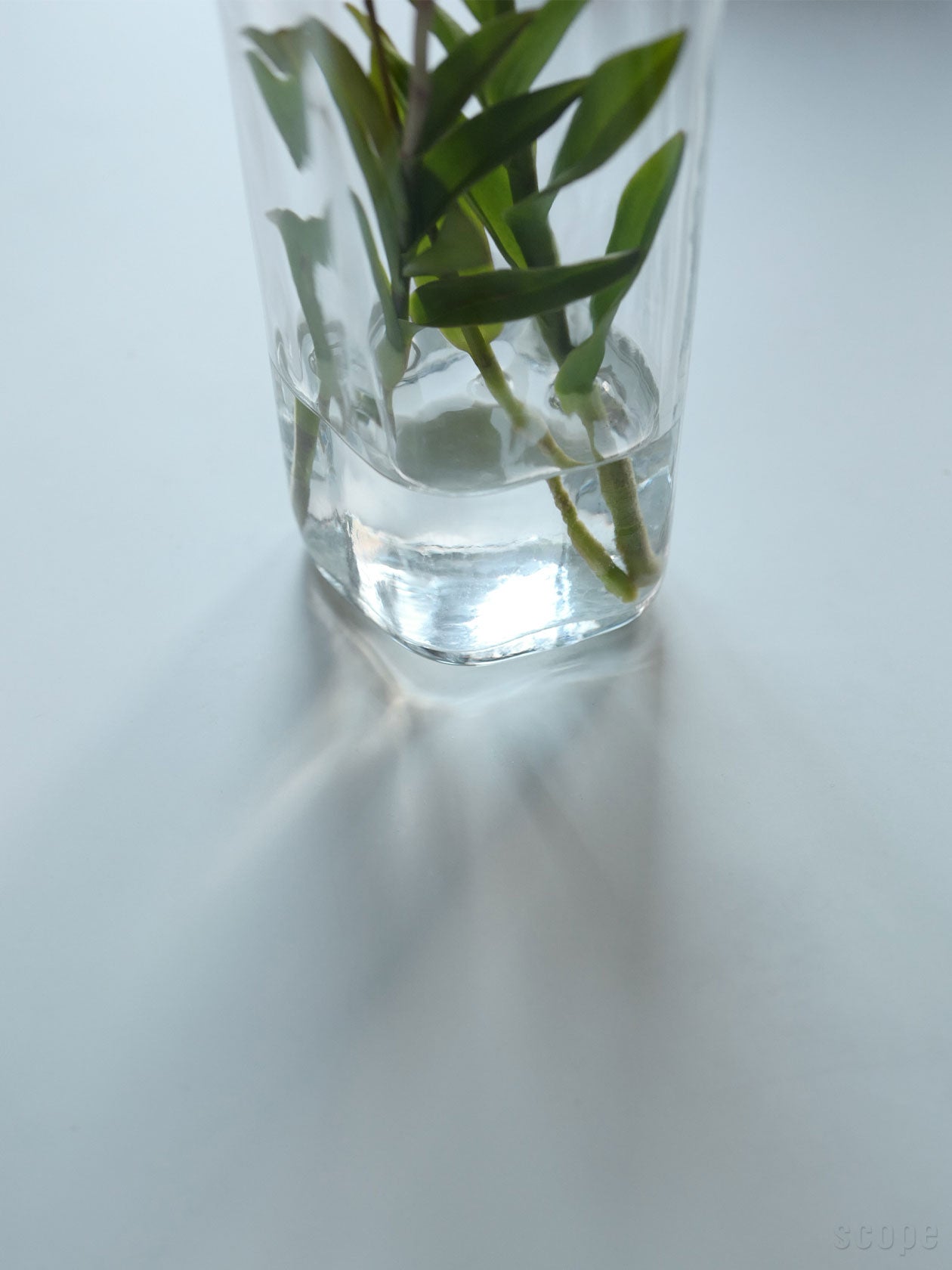 iittala Aalto Collection ベース 250mm クリア 木型