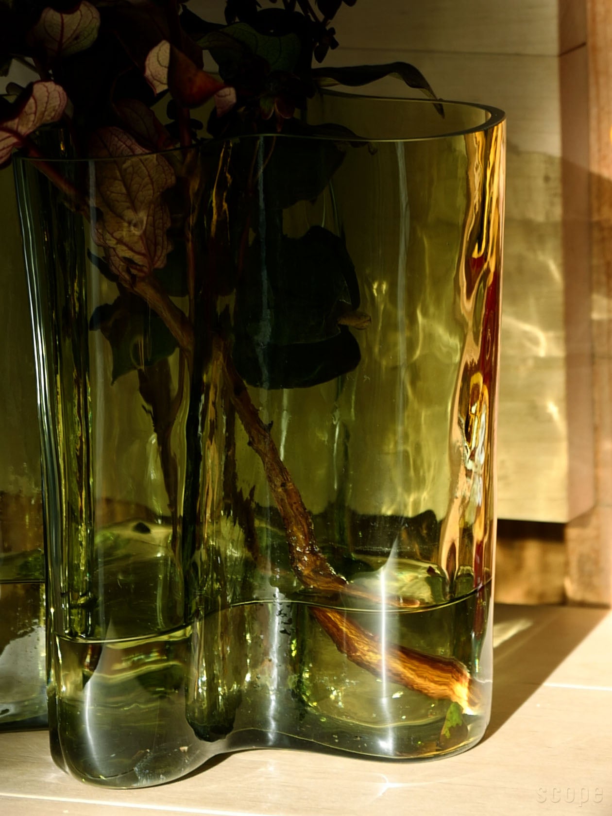 水の中の気泡や花の茎が見えるアアルトベース 200mm