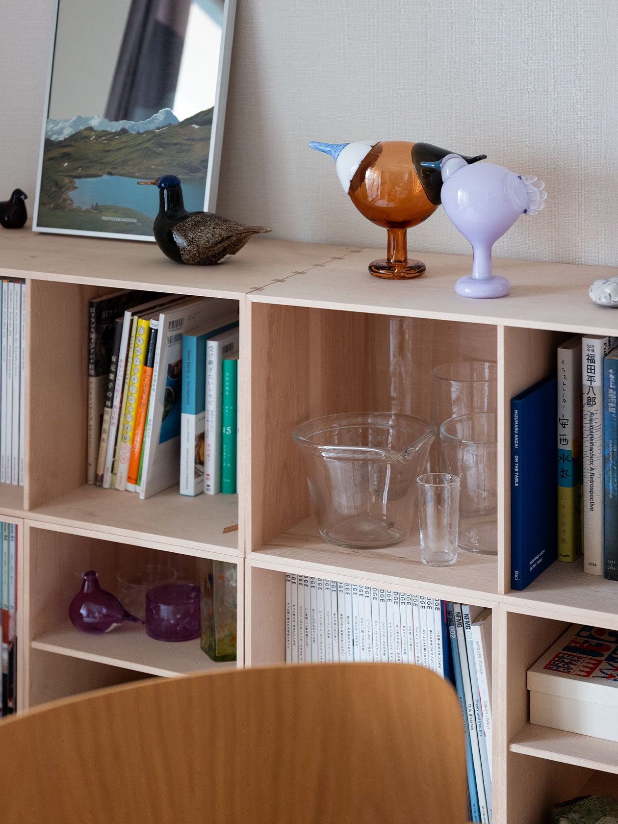 棚の上の Blue Magpie セビリアオレンジ