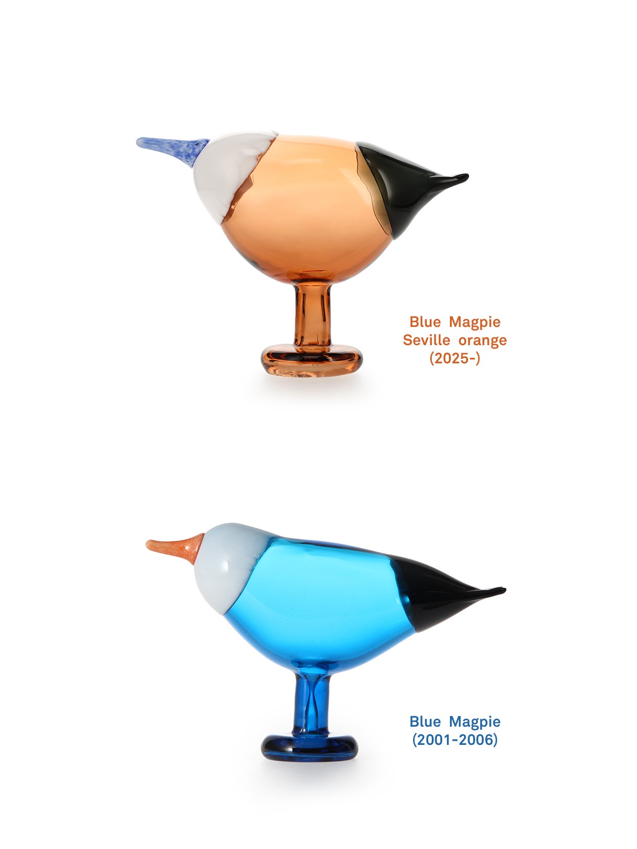 2匹並んだBlue Magpie