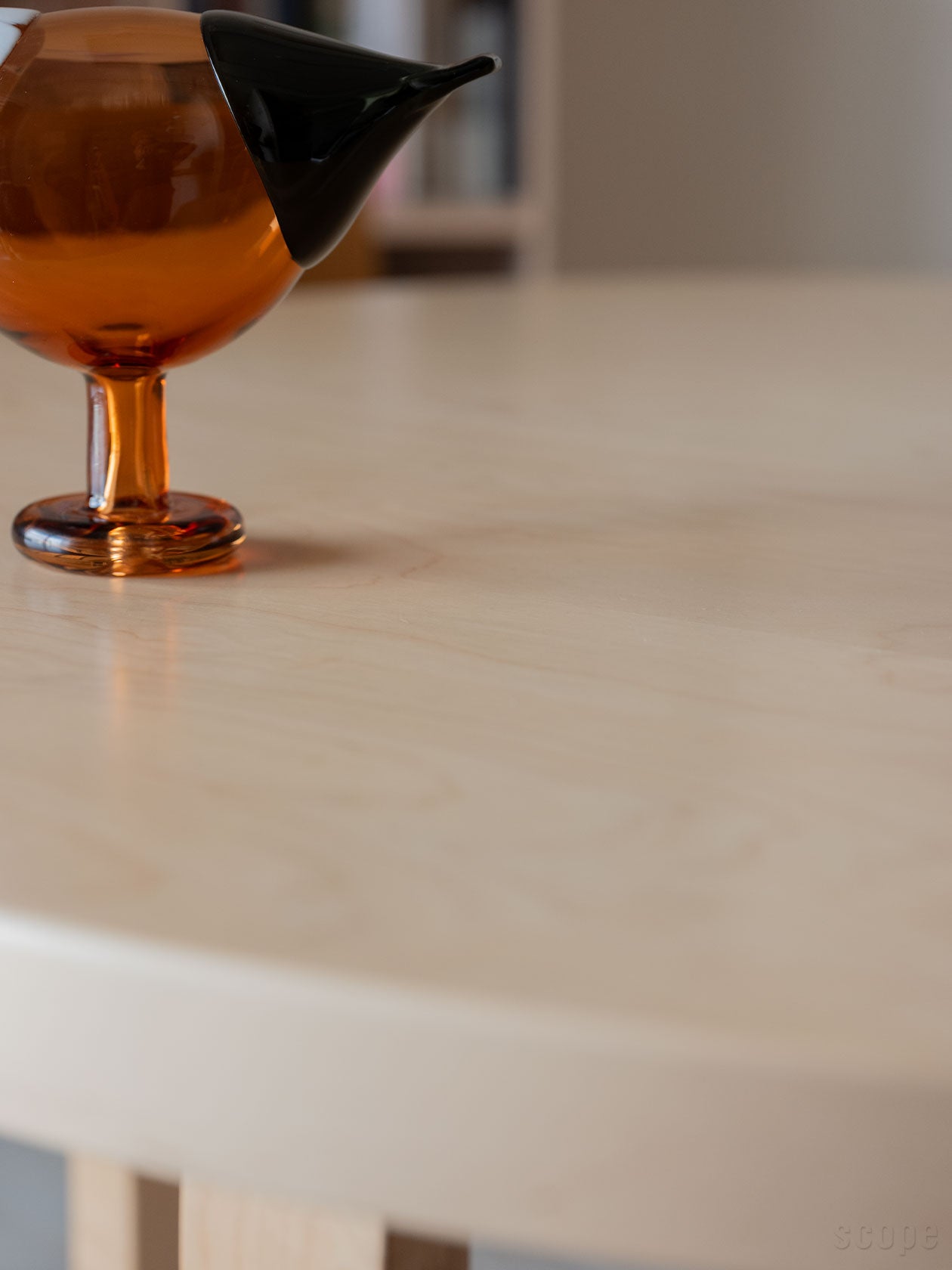 Blue Magpie セビリアオレンジの尾