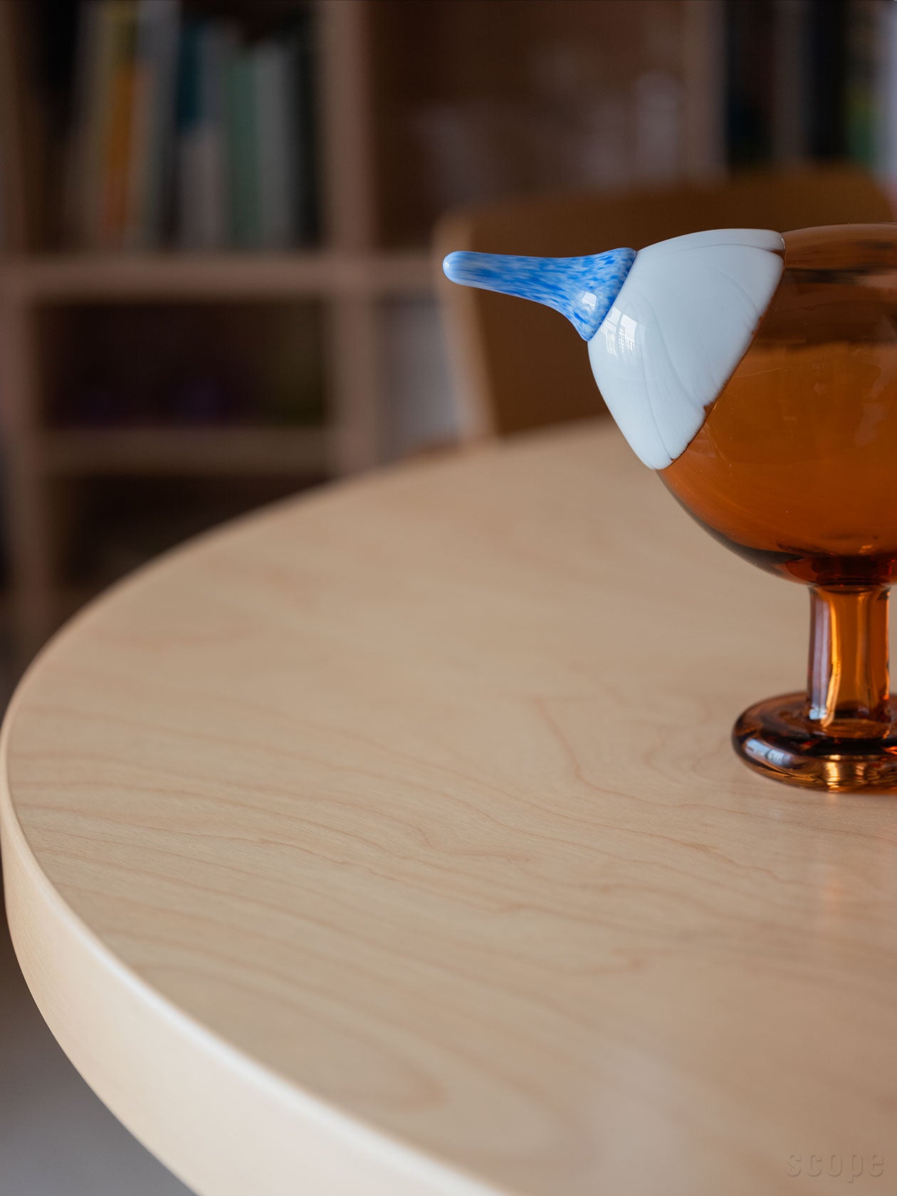 Blue Magpie セビリアオレンジの嘴