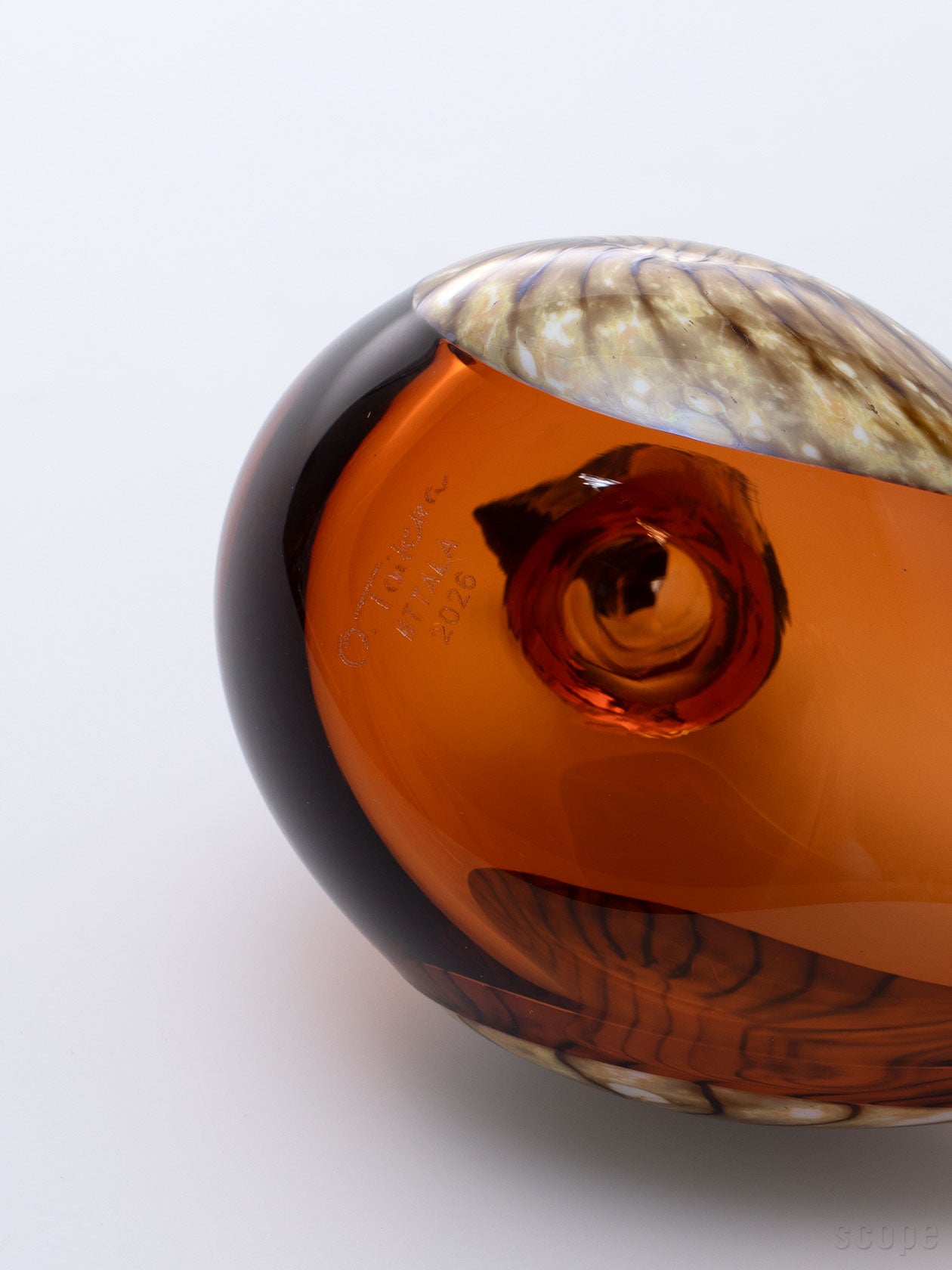 セビリアオレンジのガラス。個体ごとに異なる羽の表情