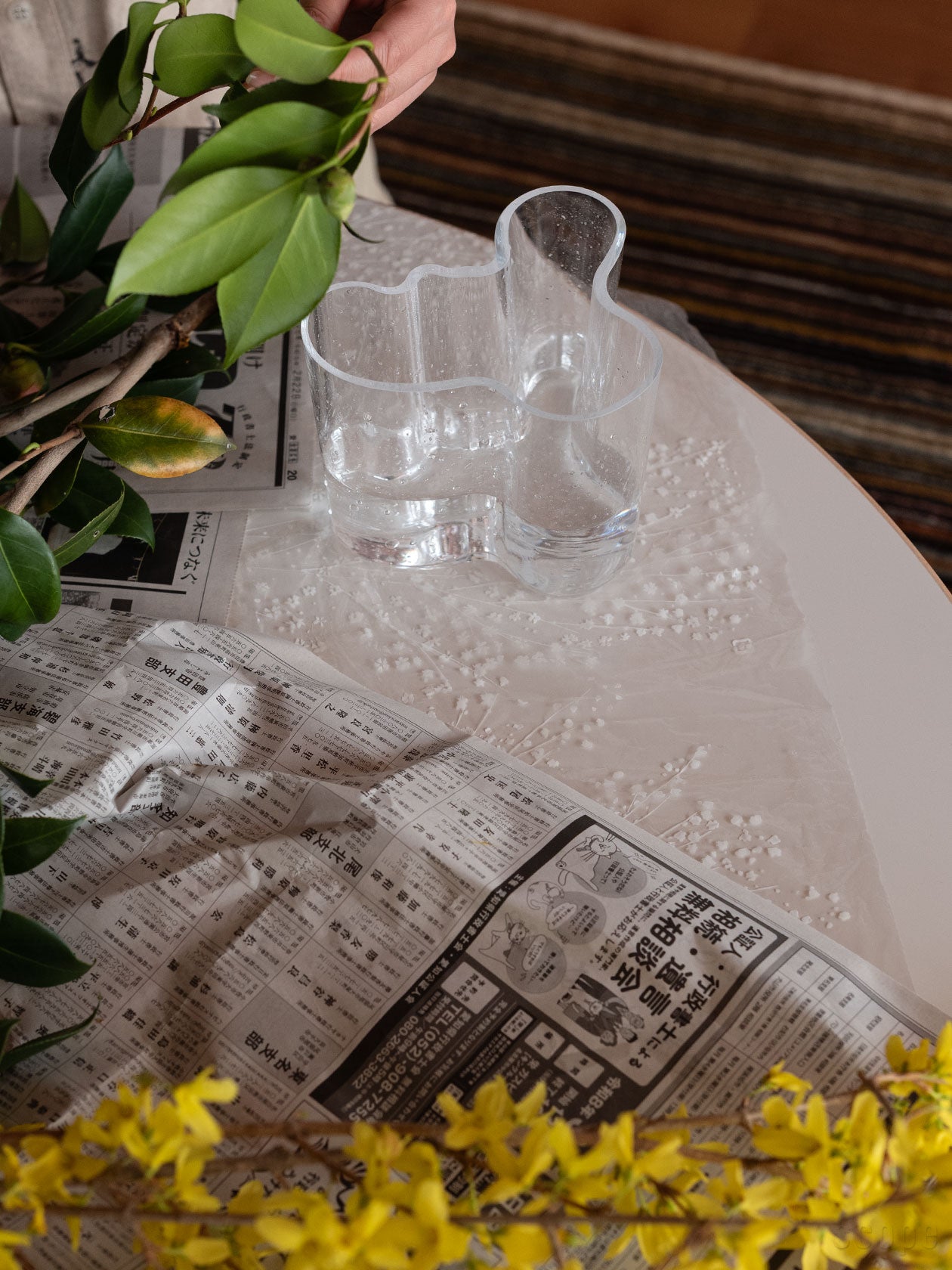 アアルトベース 120mm バブル。日常使いしやすいサイズ