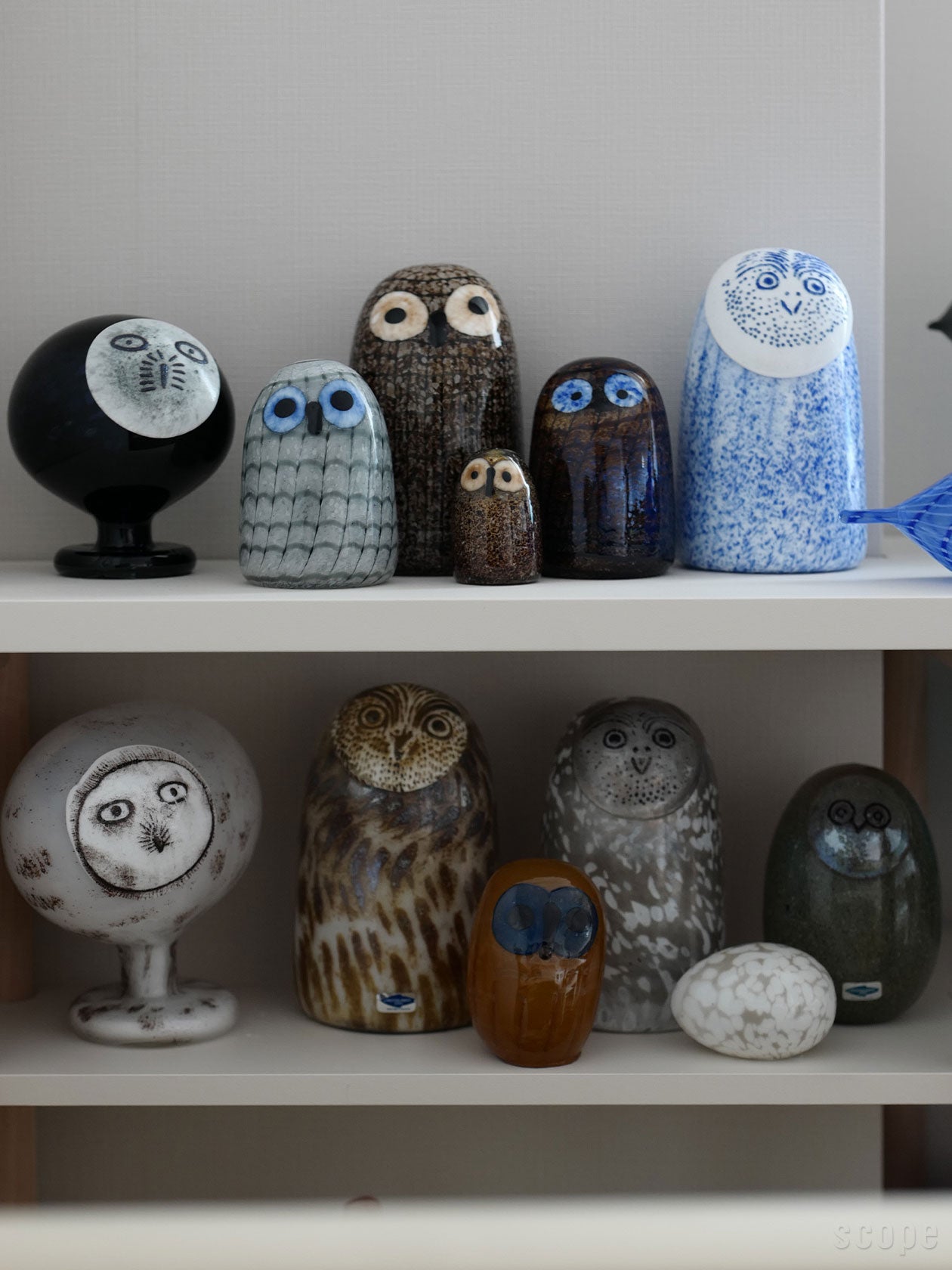 Owlet グレーとほかのフクロウバードを複数並べて置いた