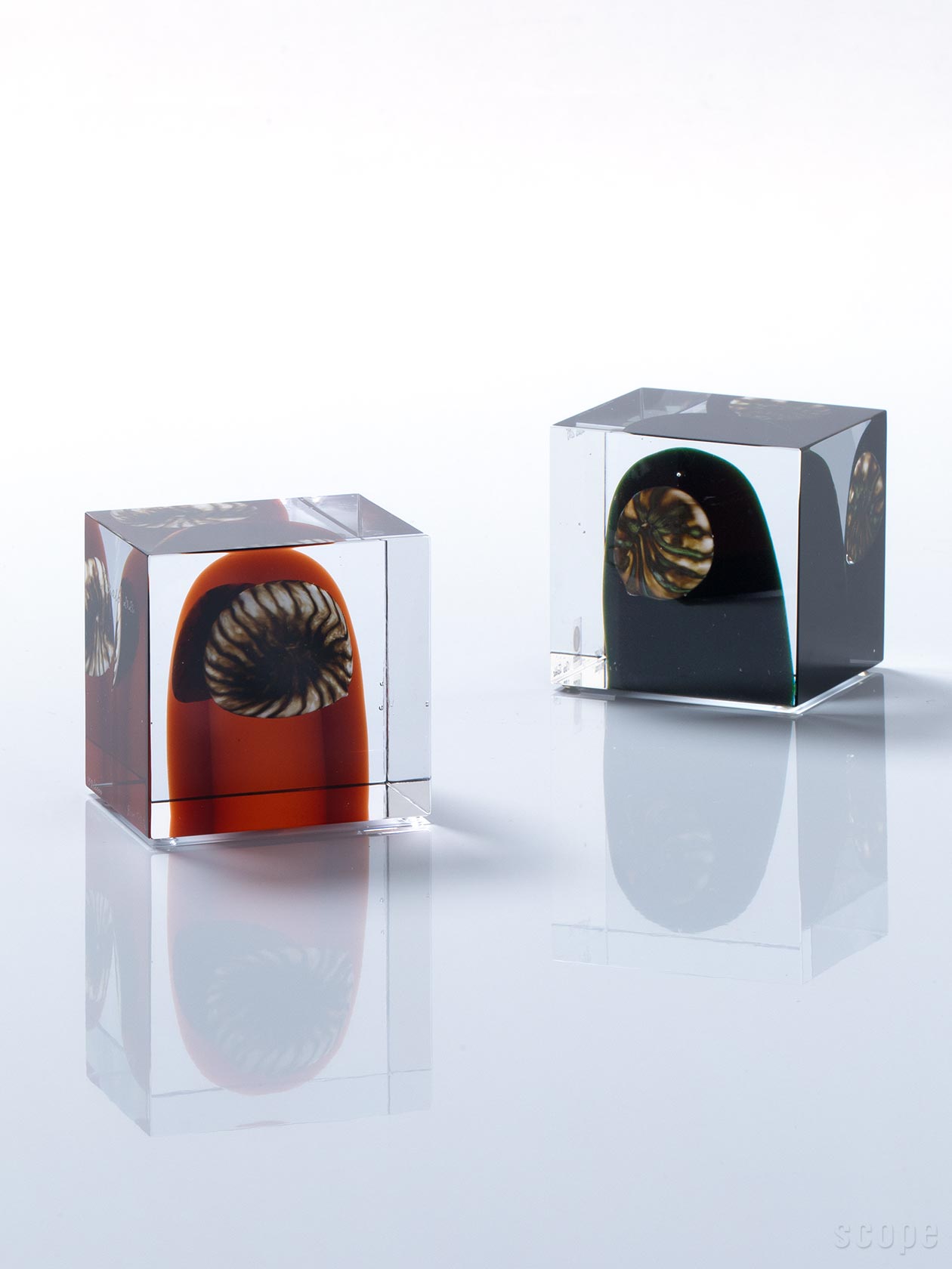 2026年版と2015年版のアニュアルキューブの比較。光を透過する色ガラスの美しさ