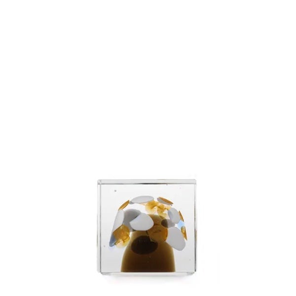 Annual cube<br>2020