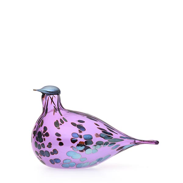 Amethyst bird