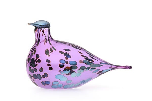 Amethyst bird
