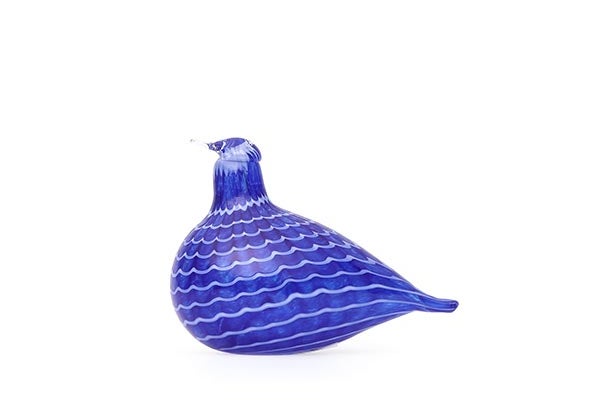 Blue Bird