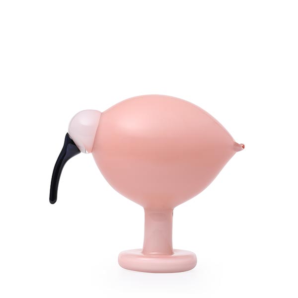 Ibis サーモンピンク