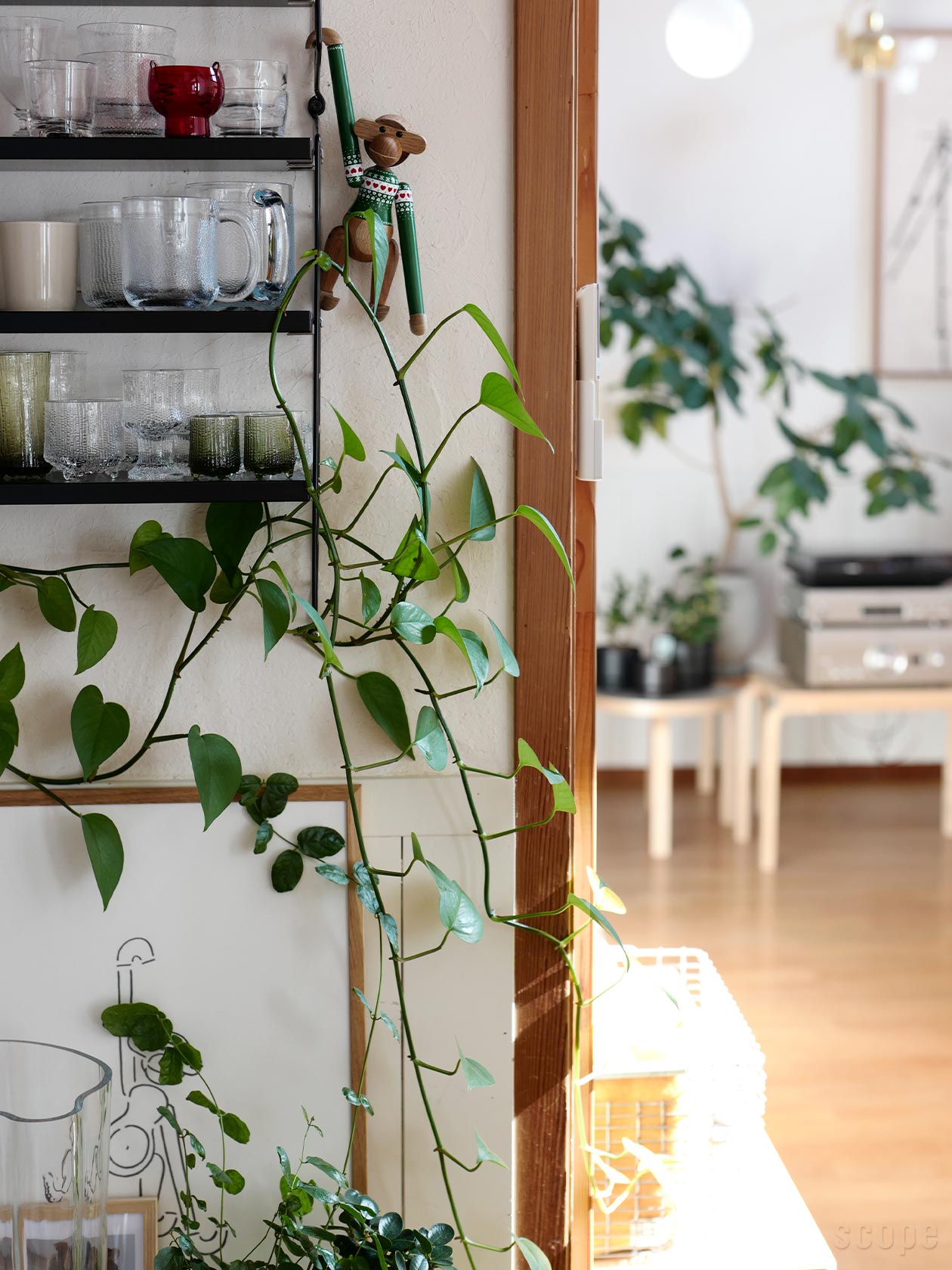 Stringに掛けたモンキーの写真