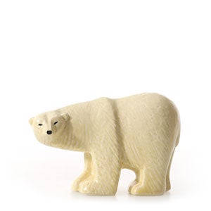 Polar bear