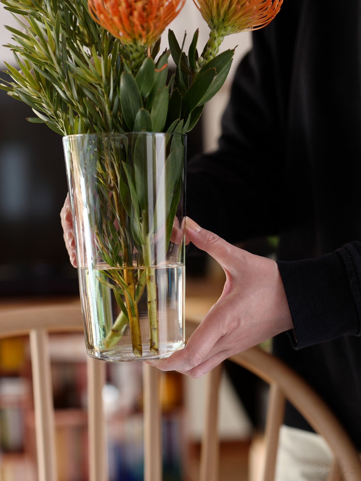 Bellman ベース185mmを手に持ったサイズ感|チューリップが似合うバランスの花瓶|SCOPE(スコープ)