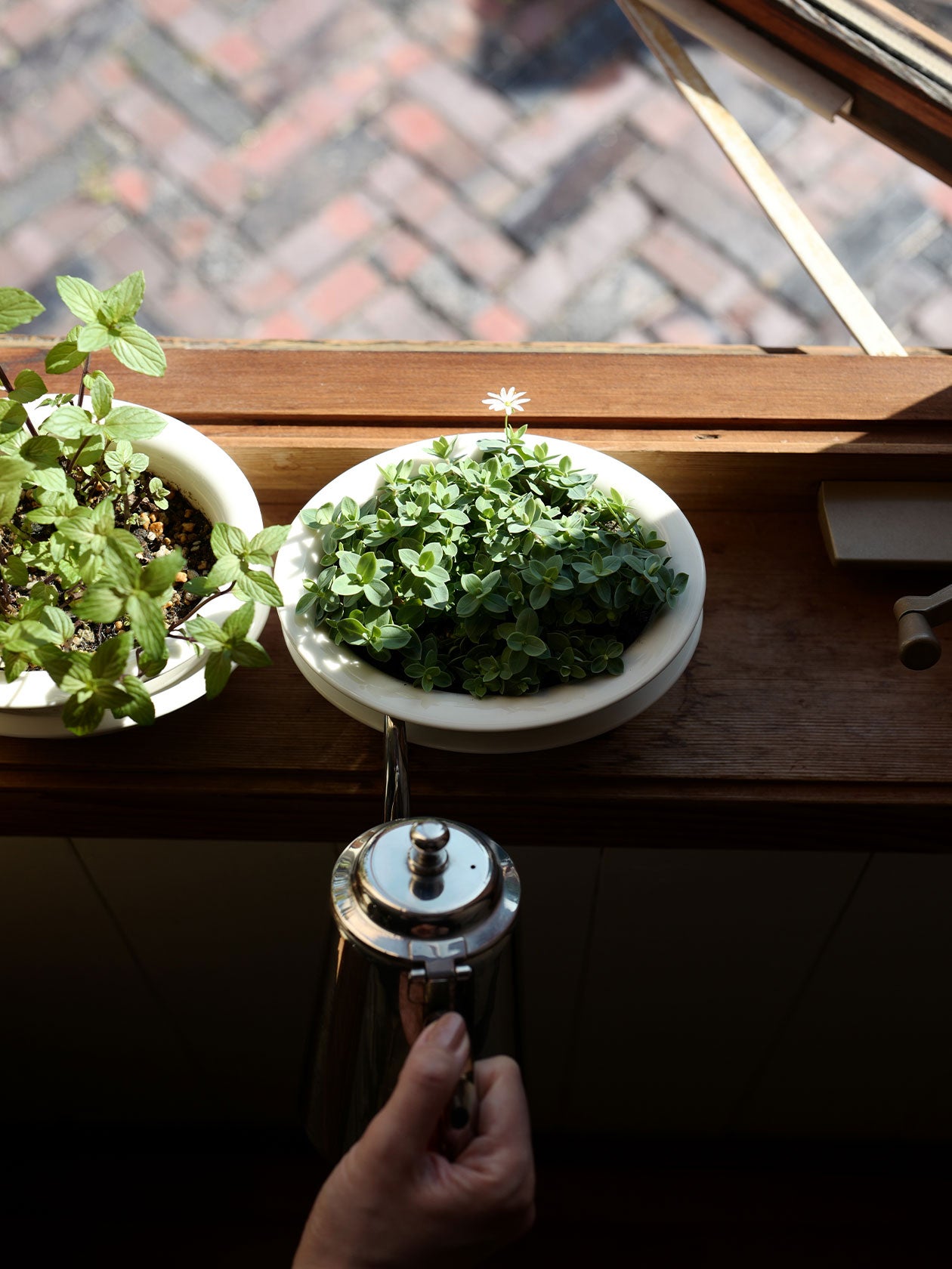 PIENIWA ミドルとロー。深い受け皿に水を溜めることで、吸水と水切れの管理が容易に