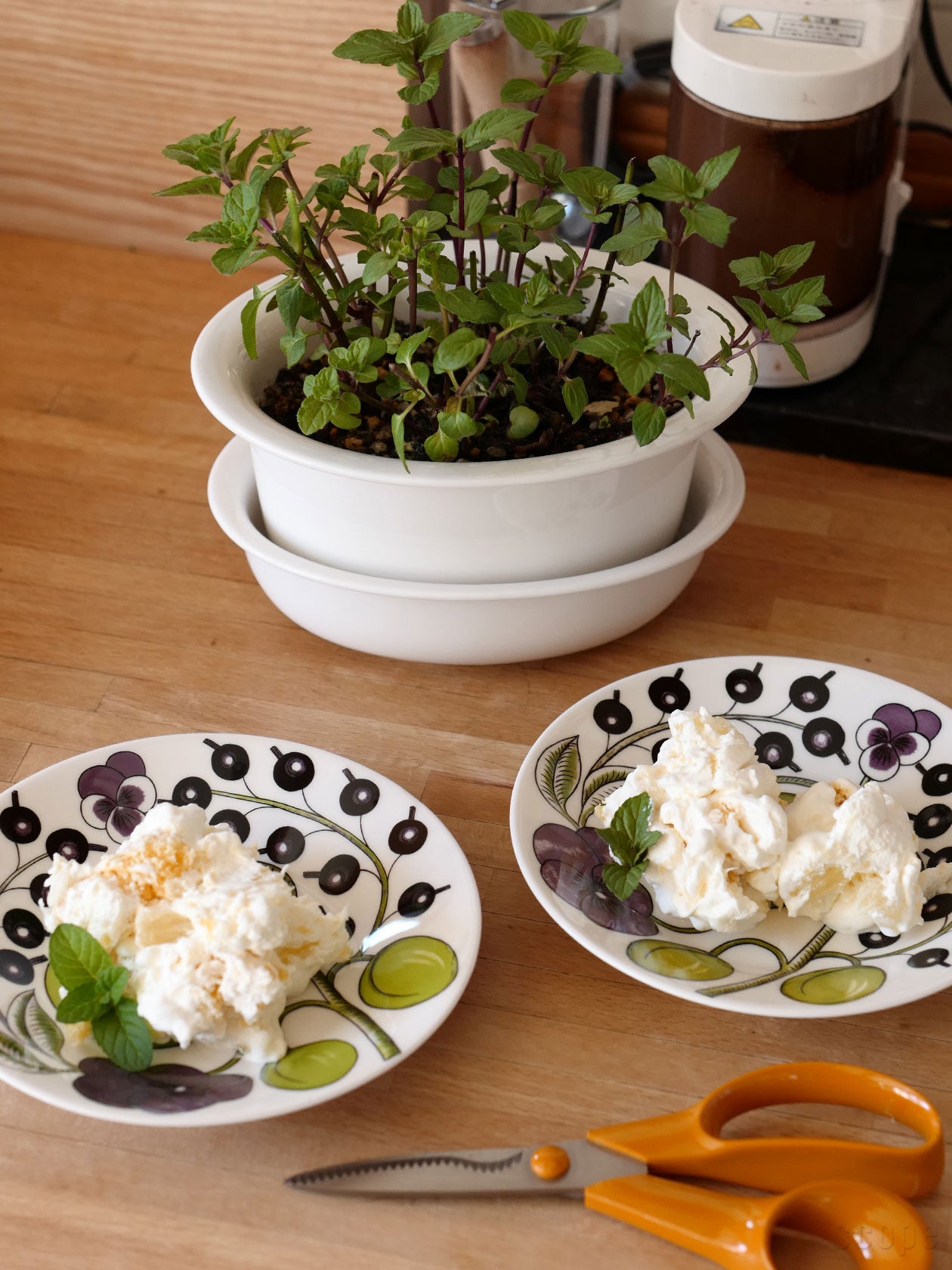 ぐんぐん育つミント。受け皿の水量が見えるから、水やりのタイミングも一目瞭然