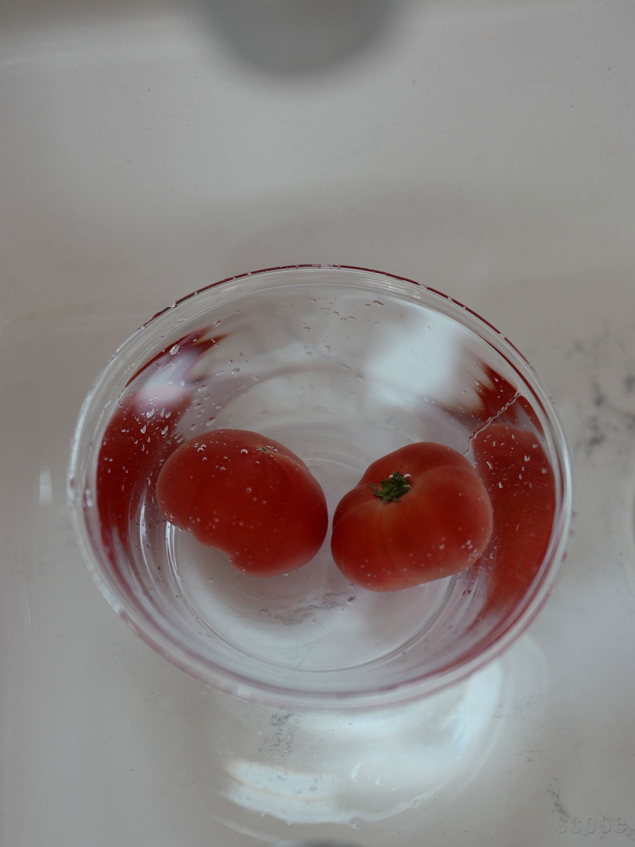 Bellman ボウルLに水をはり、トマトを洗っているところ