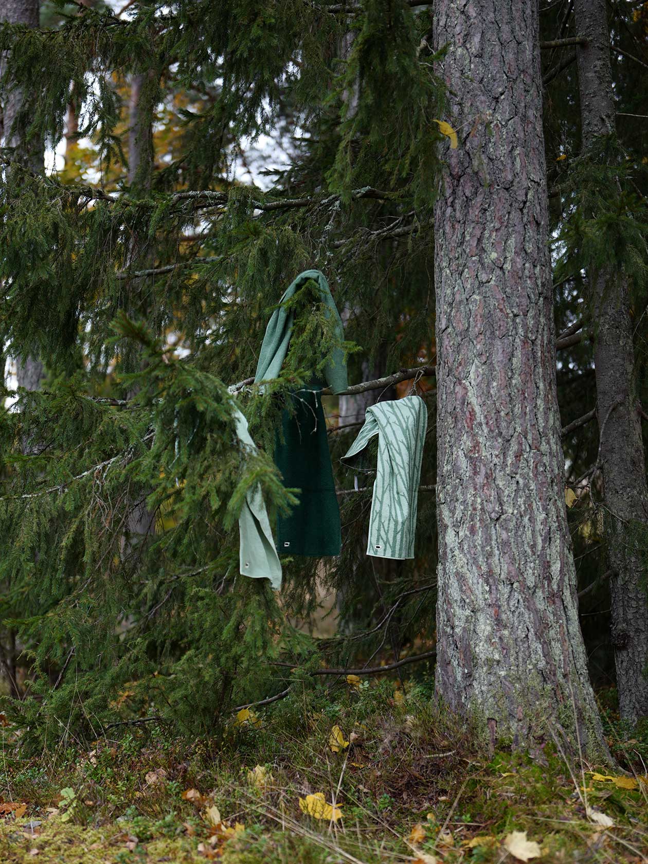 SCOPE (スコープ) house towelフェイス