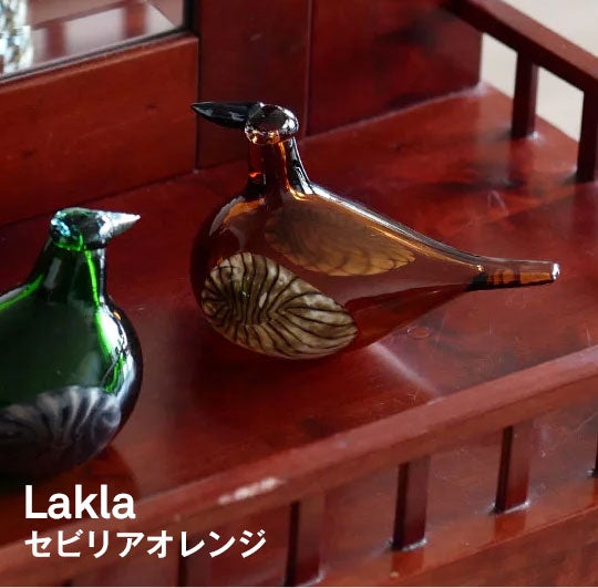 Birds Lakla セビリアオレンジ