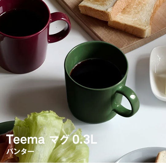 iittala / Teema マグ 0.3L