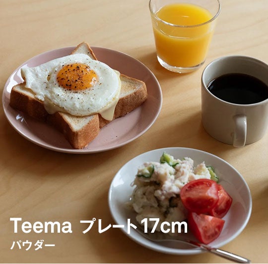 iittala / Teema プレート 17cmパウダー
